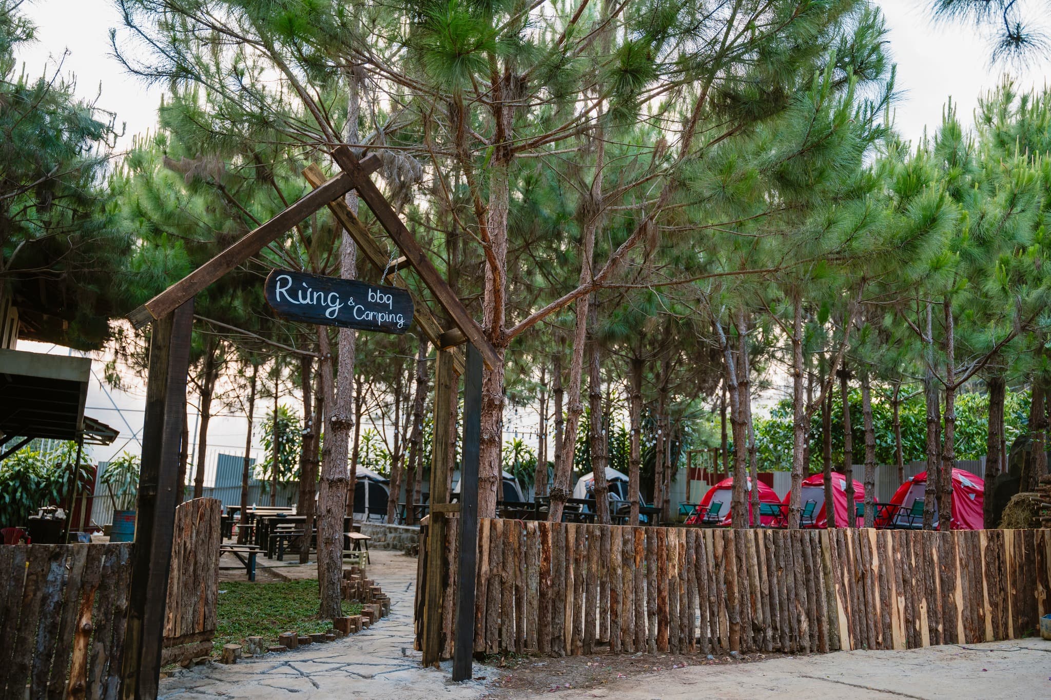 Trải nghiệm Glamping tại Rừng