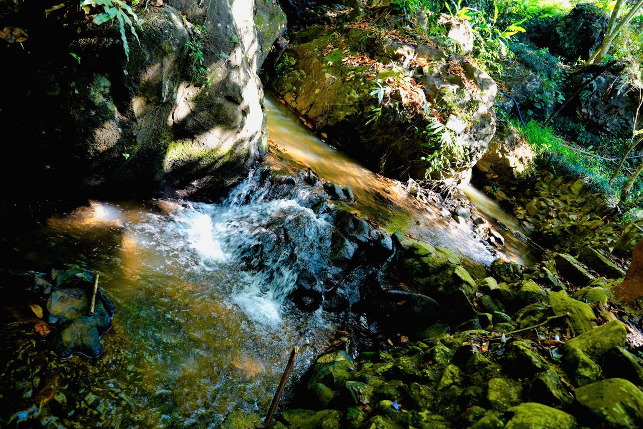 Goc chup canh quan tai Rung Coffee