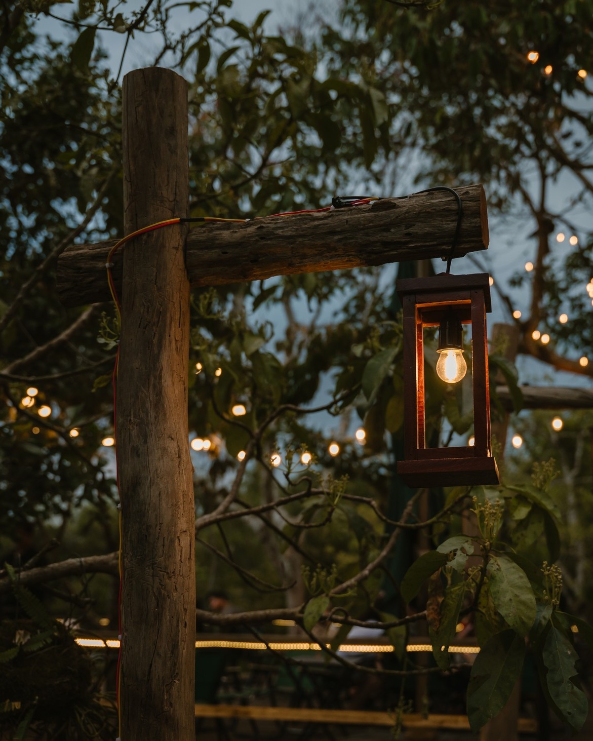 Album hinh anh thuc te tai Rung Coffee