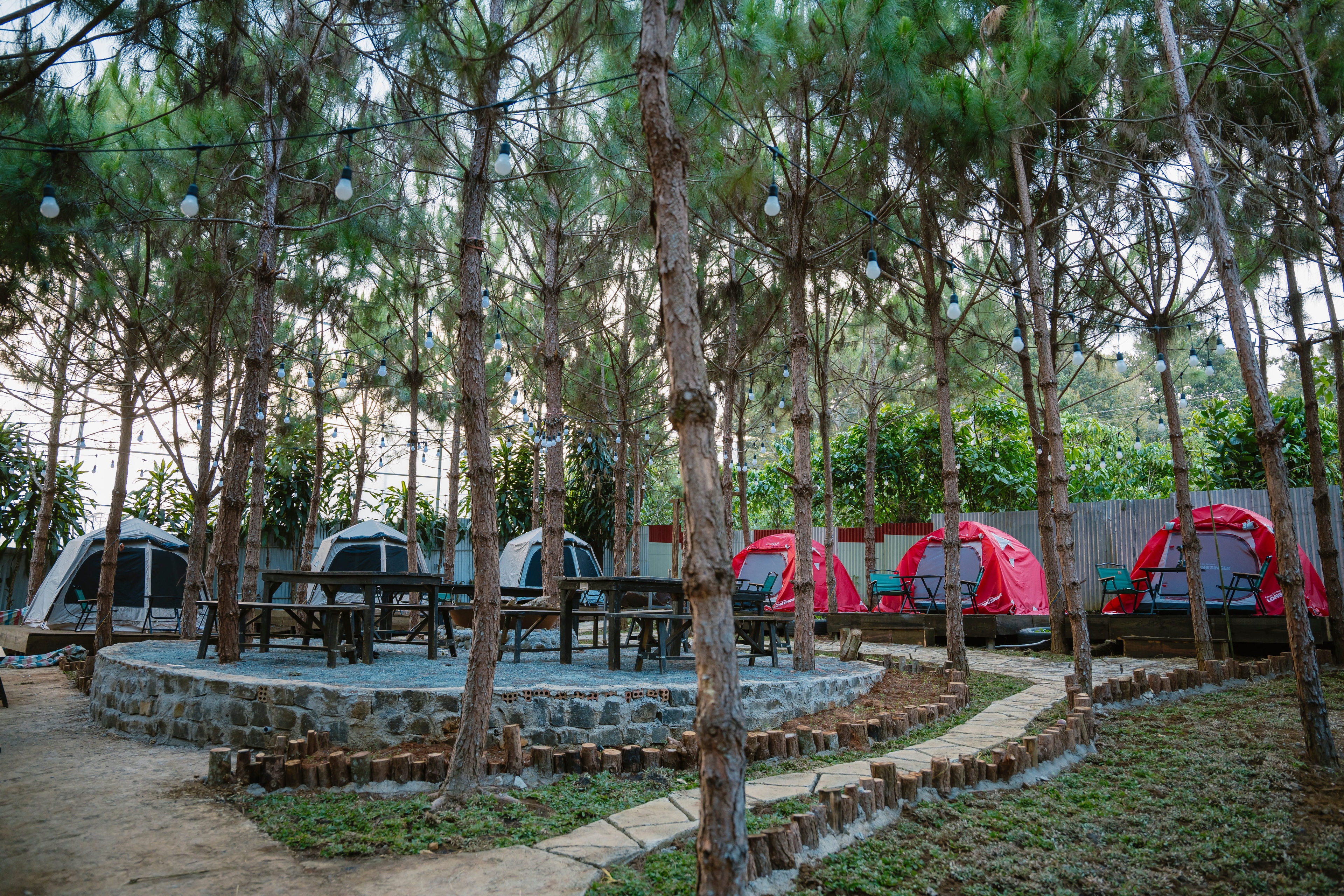 Toàn cảnh khu Glamping giữa rừng thông