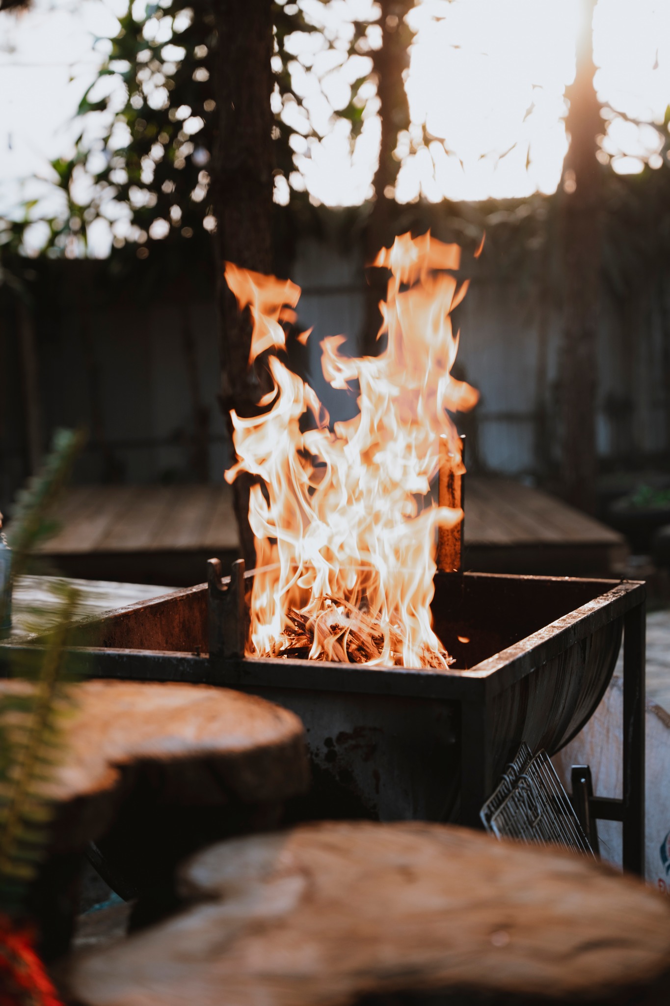 Khu vực tiệc BBQ giữa không gian xanh