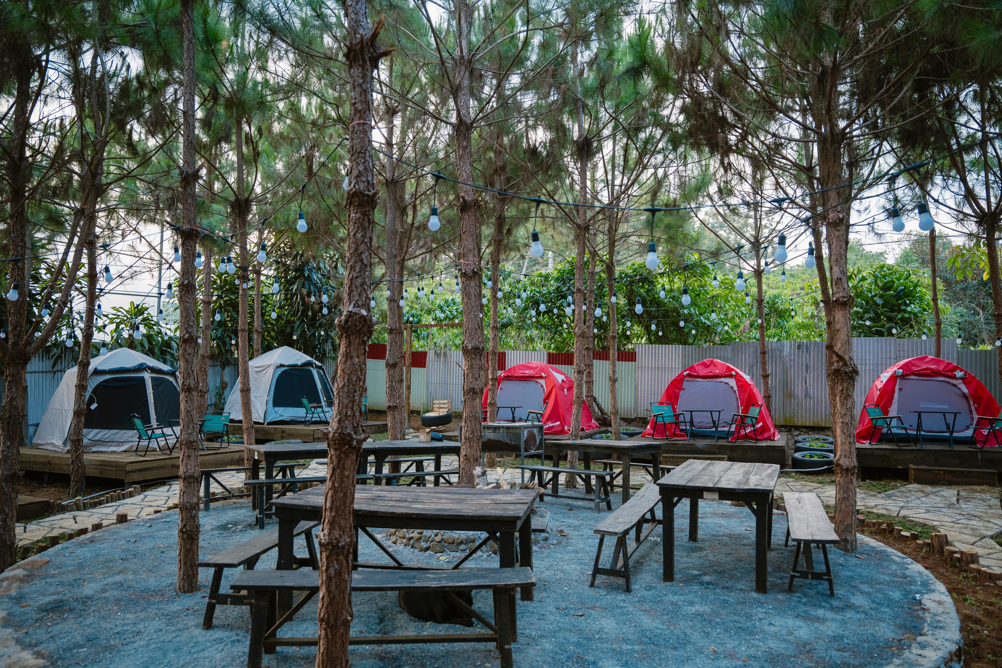 Check-in tại lều