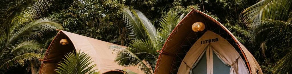 Lều Glamping nép giữa những tán cây xanh